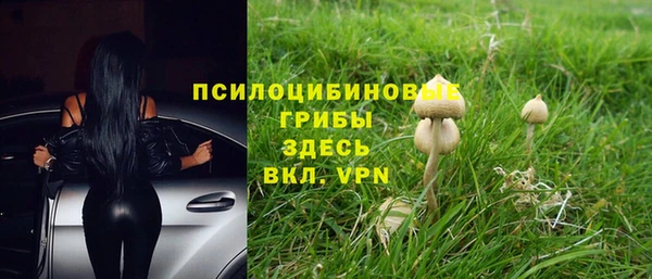 тгк Покровск