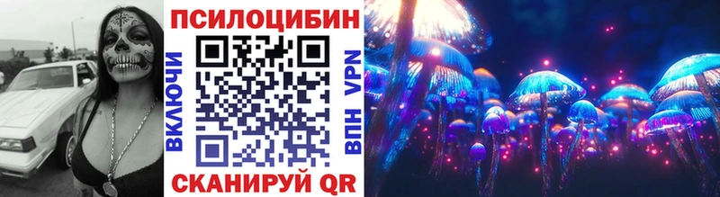 Купить закладки  Киржач  Галлюциногенные грибы Magic Shrooms 